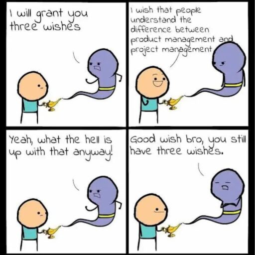 project management meme: genie granting 3 wishes to a pm
