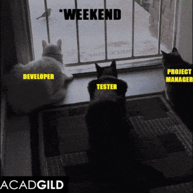 project management gif: cats getting startled by a dog