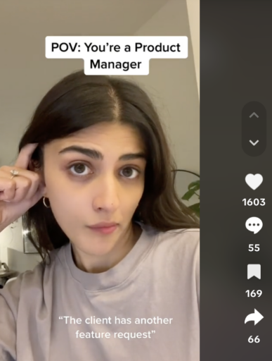 project management tiktok: pov of a project manager