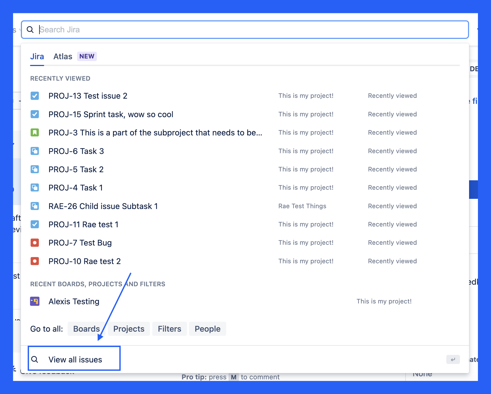 jira csv export, step 1: jira screen prompting user to view all isues