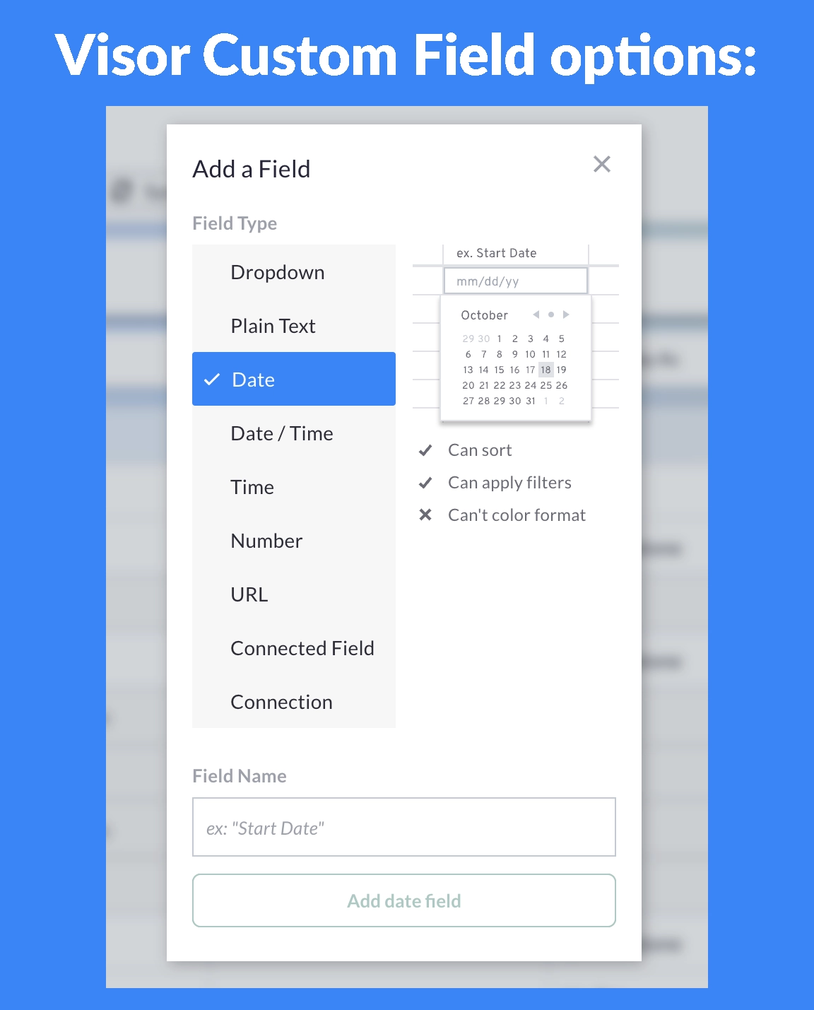 visor custom field options