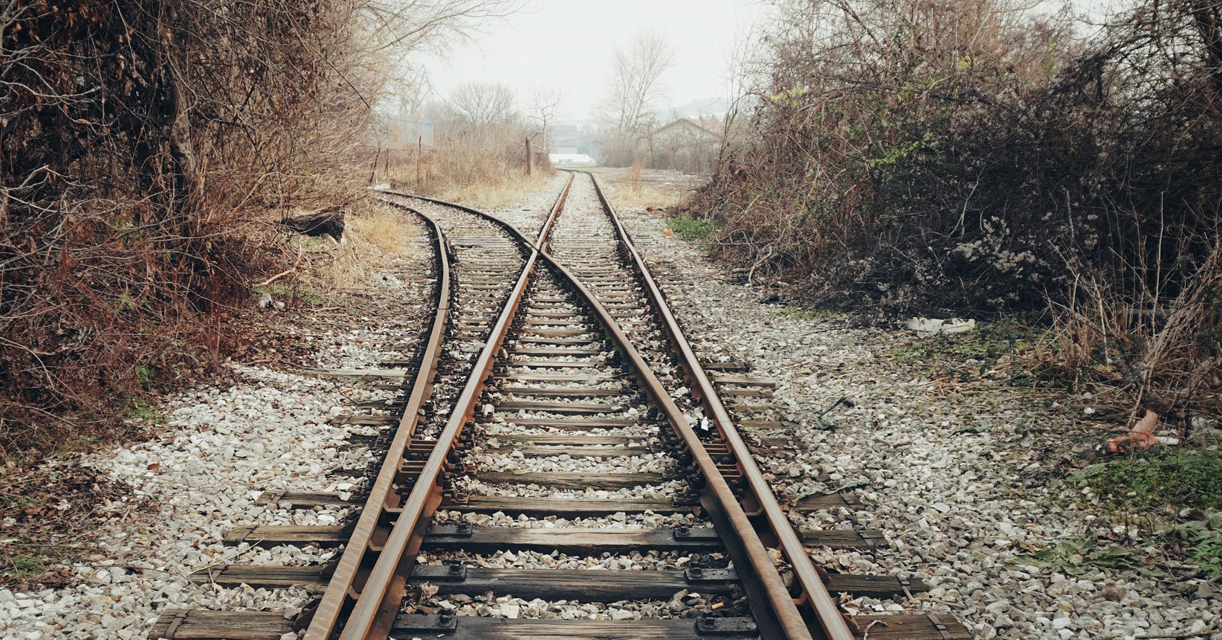 Brown metal train tracks fading off towards the horizon amidst bushes and trees in daylight.