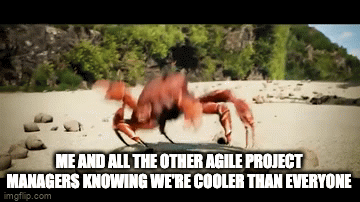 project management gif: crabs partying on a beach because they're cooler than others due to being agile